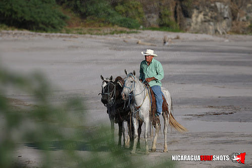 NSR_0220_Colorados_PM_April_16_2021_LR