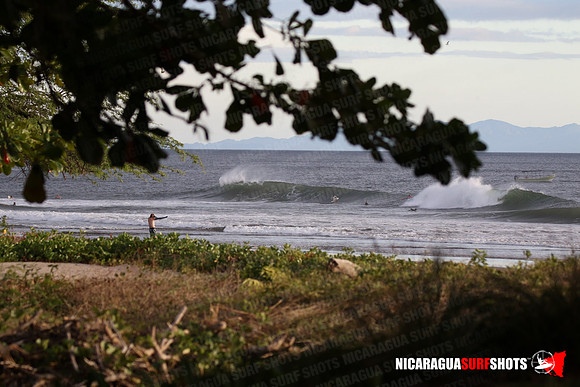 NSR_0118_Panga_Drops_January_26_2022_LR