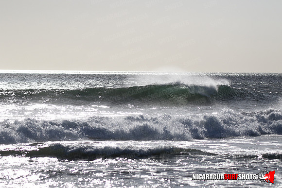 NSR_0064_Panga_Drops_January_23_2022_LR