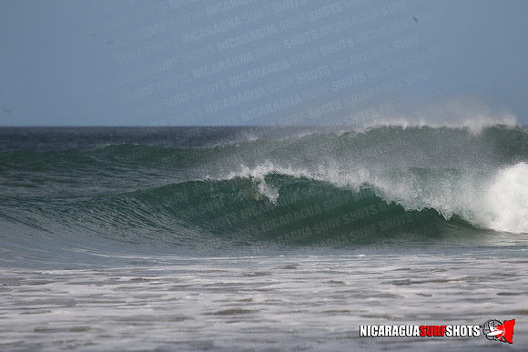 NSS_0093_Panga_Drops_January_28_2022_LR