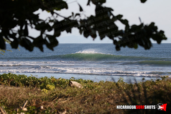 NSR_0091_Panga_Drops_January_16_2022_LR
