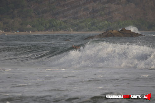 NSR_0285_Colorados_PM_April_19_2021_LR
