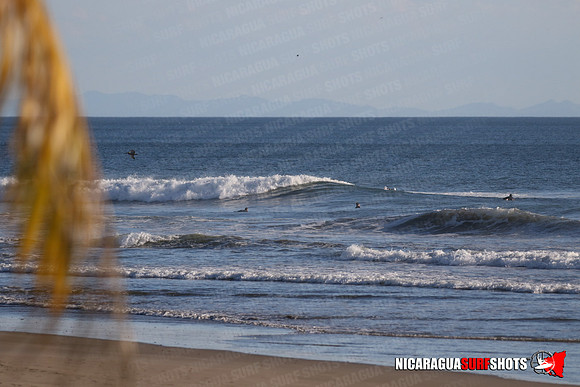 NSR_0153_Panga_Drops_January_16_2022_LR