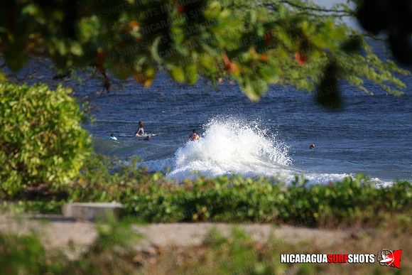 NSR_0003_Panga_Drops_January_19_2022_LR