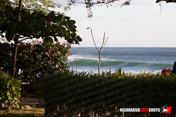 NSR_0015_Panga_Drops_January_18_2022_LR
