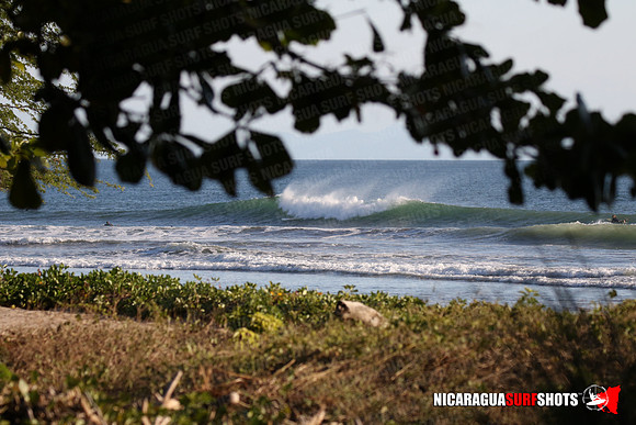 NSR_0104_Panga_Drops_January_16_2022_LR