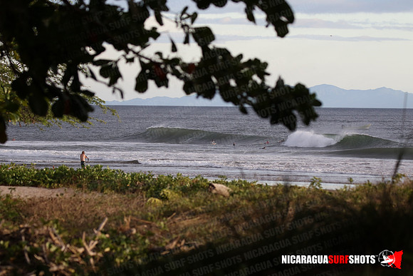 NSR_0113_Panga_Drops_January_26_2022_LR