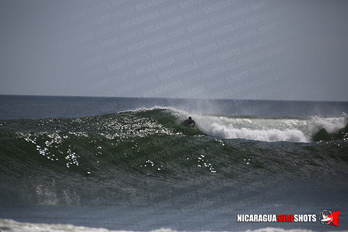 NSR_0625_Panga_Drops_April_11_2021_LR
