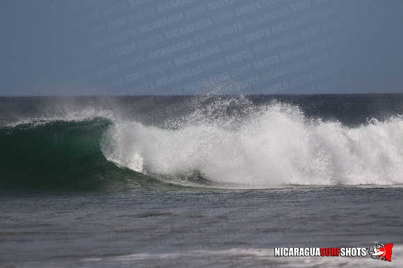 NSS_0136_Panga_Drops_January_28_2022_LR