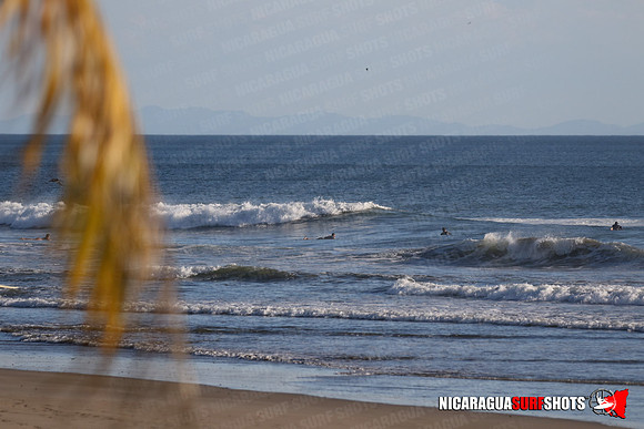 NSR_0154_Panga_Drops_January_16_2022_LR
