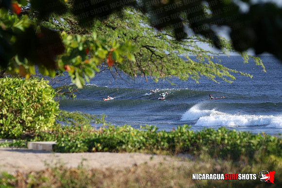 NSR_0011_Panga_Drops_January_19_2022_LR