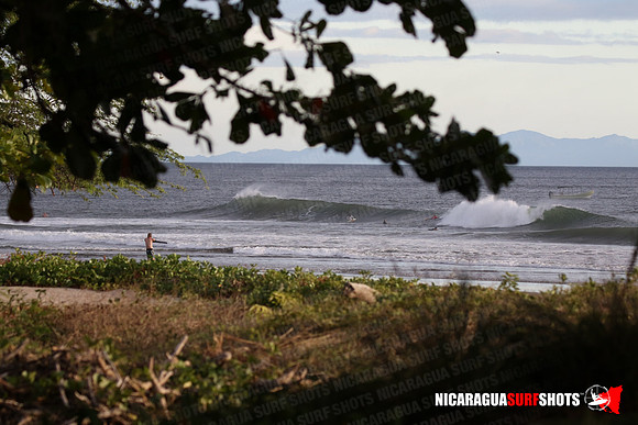 NSR_0116_Panga_Drops_January_26_2022_LR