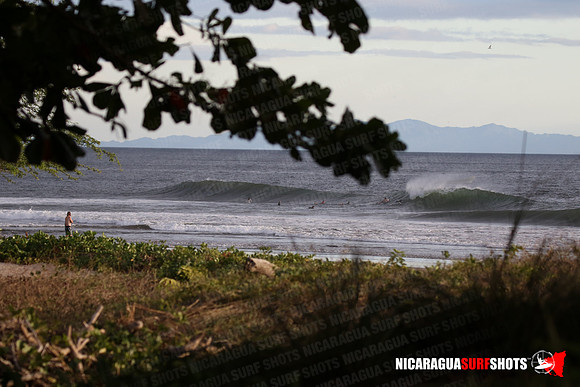 NSR_0108_Panga_Drops_January_26_2022_LR