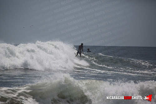 NSR_0829_Panga_Drops_April_11_2021_LR