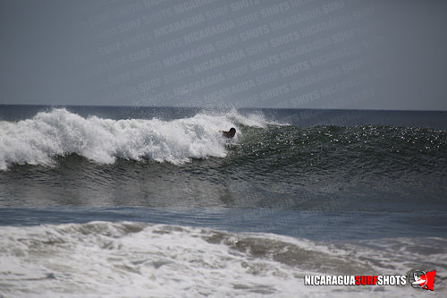 NSR_0696_Panga_Drops_April_11_2021_LR