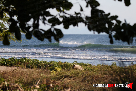 NSR_0105_Panga_Drops_January_16_2022_LR