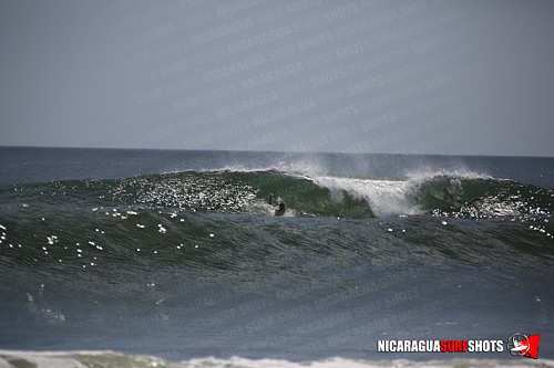 NSR_0622_Panga_Drops_April_11_2021_LR
