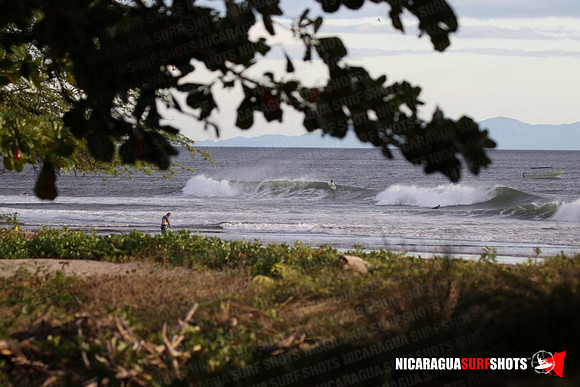 NSR_0125_Panga_Drops_January_26_2022_LR