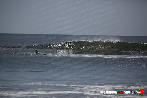 NSR_0616_Panga_Drops_April_11_2021_LR