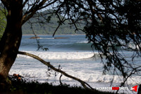 NSR_0009_Colorados_PM _August_09_2021_LR
