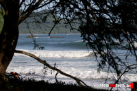 NSR_0007_Colorados_PM _August_09_2021_LR