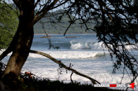NSR_0018_Colorados_PM _August_09_2021_LR