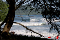 NSR_0019_Colorados_PM _August_09_2021_LR