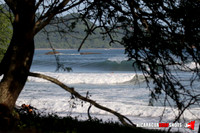 NSR_0011_Colorados_PM _August_09_2021_LR