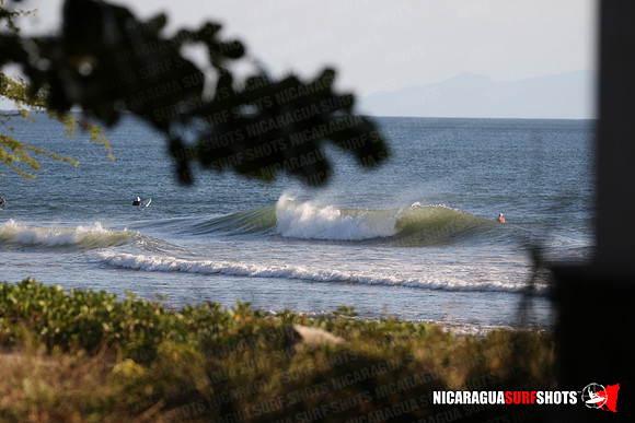 NSR_0035_Panga_Drops_January_16_2022_LR