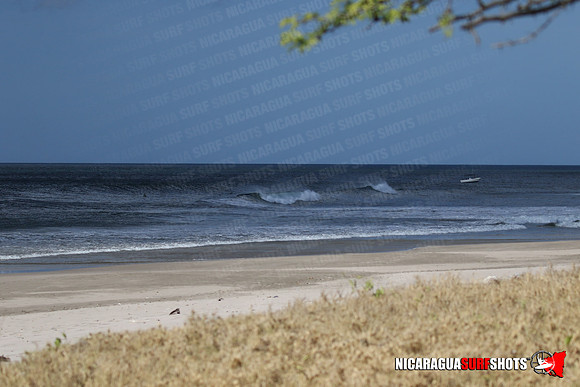 NSR_0021_Panga_Drops_January_25_2022_LR