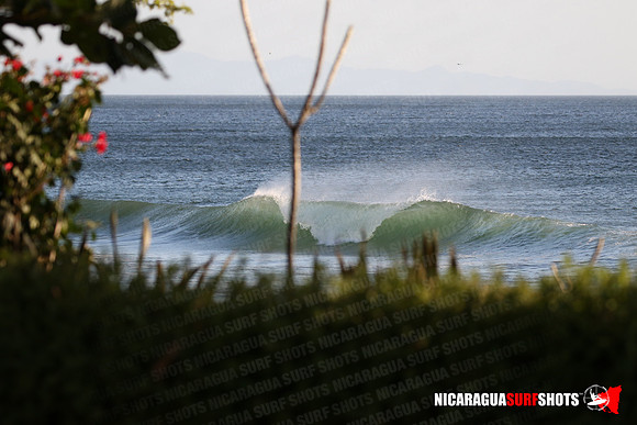 NSR_0022_Panga_Drops_January_18_2022_LR