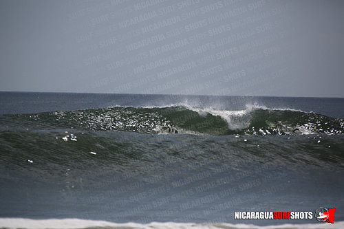 NSR_0621_Panga_Drops_April_11_2021_LR