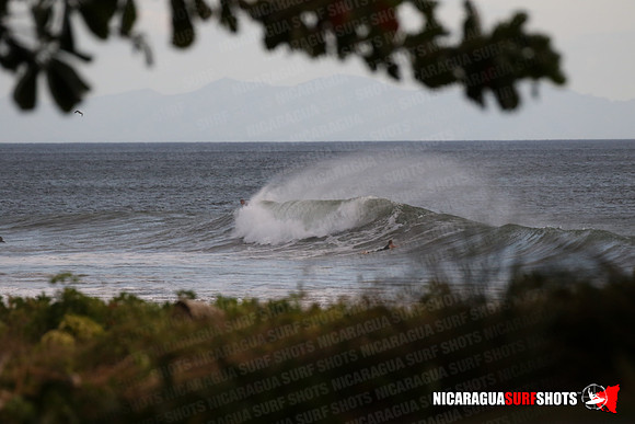 NSR_0004_Panga_Drops_January_31_2022_Logo