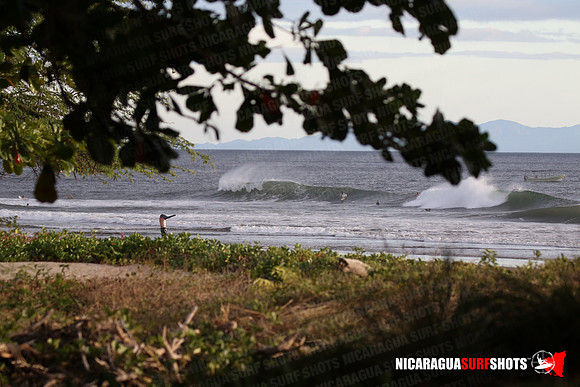 NSR_0119_Panga_Drops_January_26_2022_LR