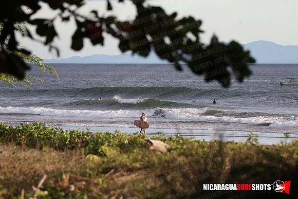 NSR_0046_Panga_Drops_January_26_2022_LR