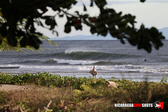 NSR_0052_Panga_Drops_January_26_2022_LR