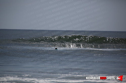 NSR_0615_Panga_Drops_April_11_2021_LR