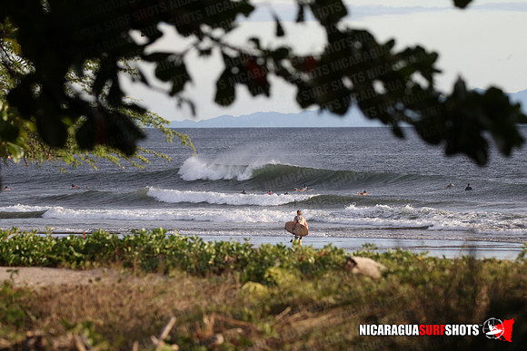 NSR_0058_Panga_Drops_January_26_2022_LR