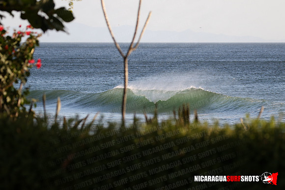 NSR_0021_Panga_Drops_January_18_2022_LR