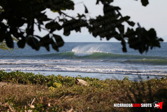 NSR_0098_Panga_Drops_January_16_2022_LR