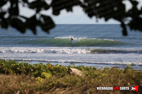 NSR_0064_Panga_Drops_January_16_2022_LR