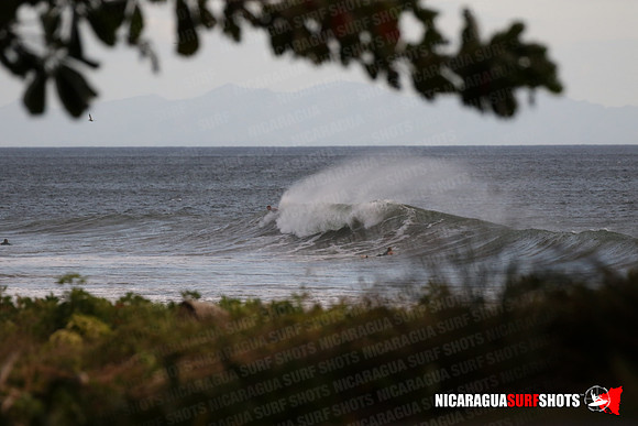 NSR_0002_Panga_Drops_January_31_2022_Logo