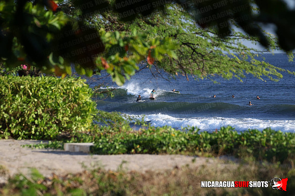NSR_0018_Panga_Drops_January_19_2022_LR