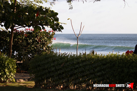 NSR_0018_Panga_Drops_January_18_2022_LR