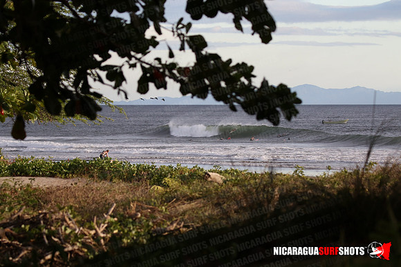 NSR_0094_Panga_Drops_January_26_2022_LR