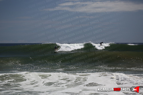NSR_0520_Panga_Drops_April_11_2021_LR