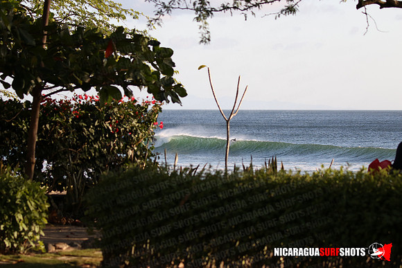 NSR_0014_Panga_Drops_January_18_2022_LR