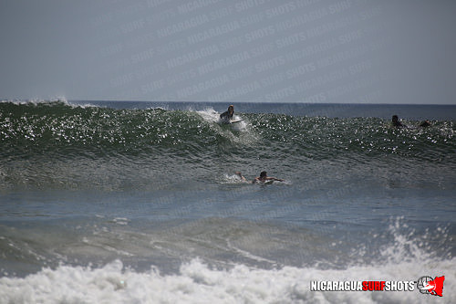 NSR_0689_Panga_Drops_April_11_2021_LR