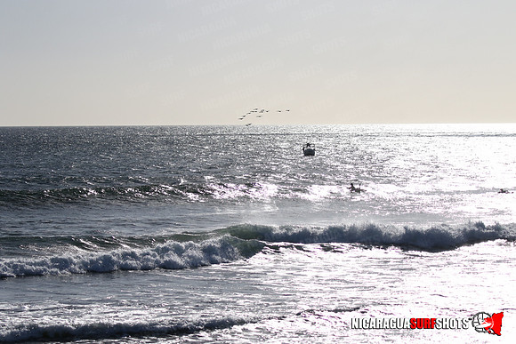 NSR_0035_Panga_Drops_January_23_2022_LR
