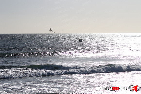 NSR_0036_Panga_Drops_January_23_2022_LR